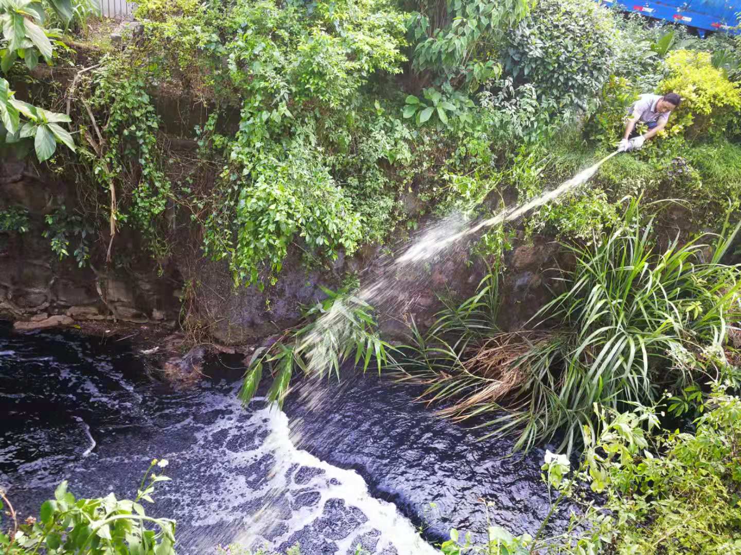 生物除臭剂